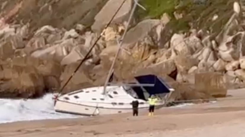 Orcas Violently Attack Dutch Yacht Off Portugal Coast