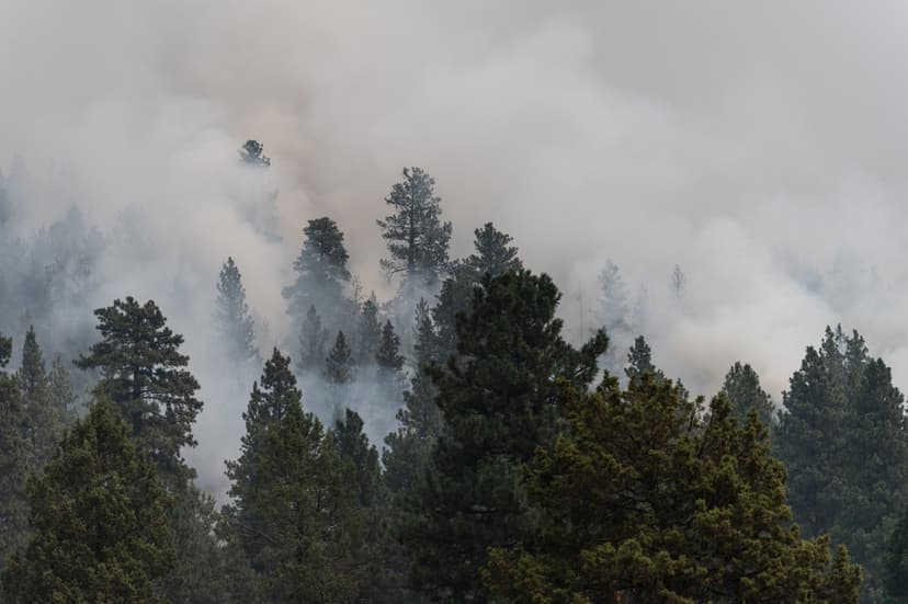 Oregon Air Quality Plummets to Very Unhealthy Levels