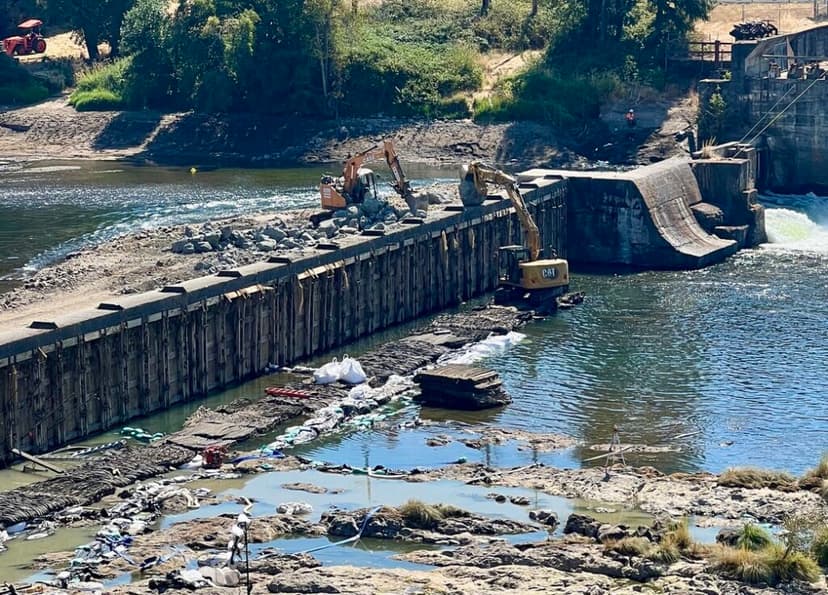 Dam Repairs Unleash Ecological Disaster, Cost Millions