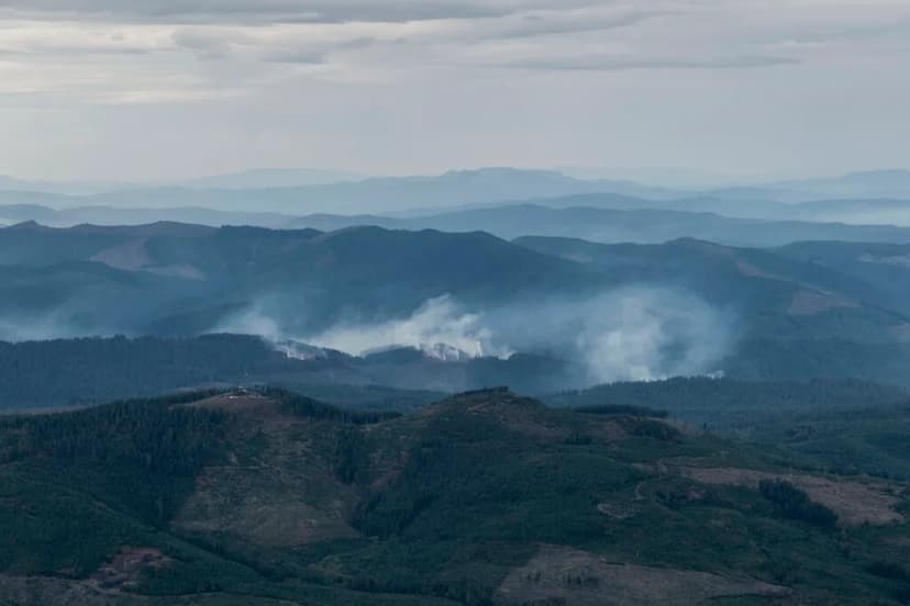 Oregon Forests Go Green: New Plan Cuts Logging by 20%