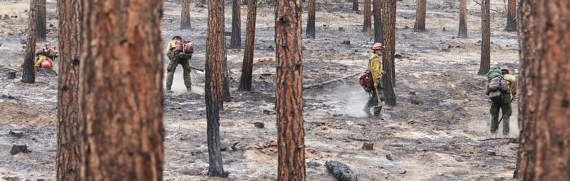 Oregon Wildfires Rage: Crews Battle New Blaze Near Madras