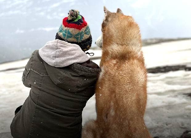 John Abraham: Animals Teach Us Compassion