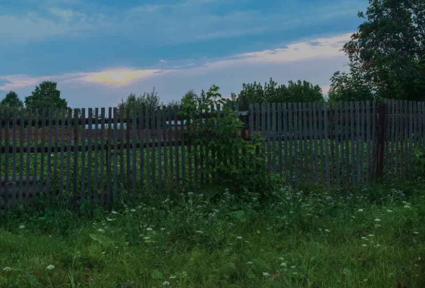 Neighbor Breeding Invasive Lanternflies Sparks Outrage