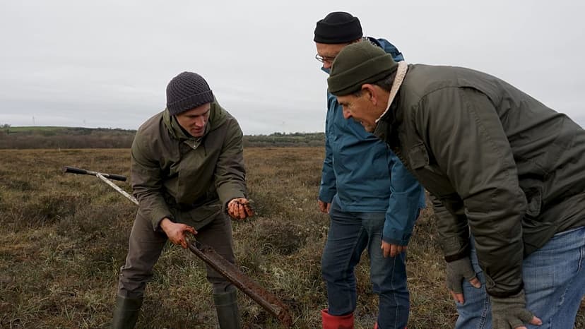 Watered Peatlands: Ireland's New Green Gold Rush