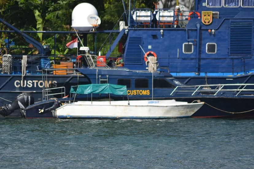 Pangolins Rescued from Boat in Nigerian Wildlife Crackdown