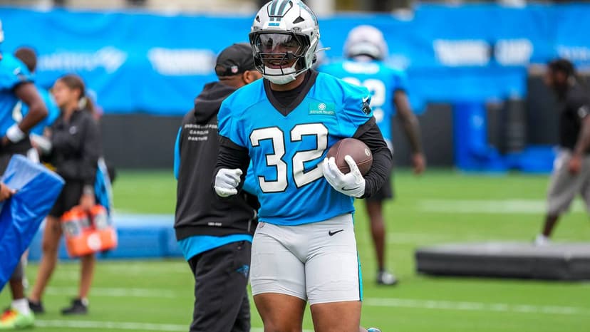 Panthers Depth Chart Reveals Surprises