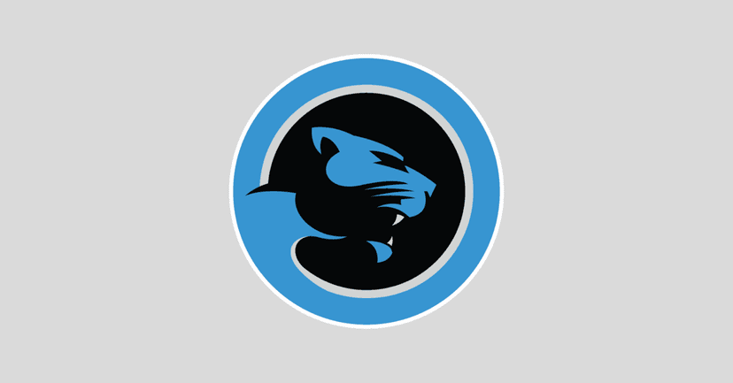 Panthers Camp: Who Will Make the Cut?