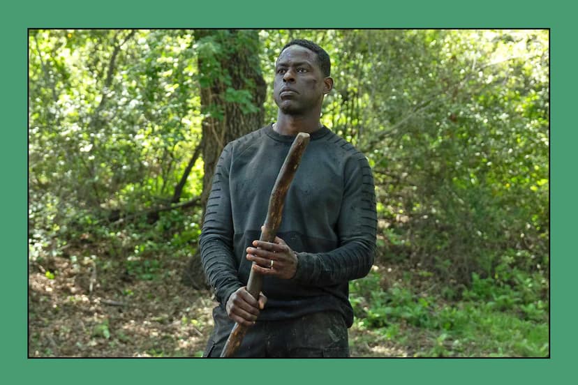 Paradise Bunker Secrets: Season 2 Explodes!