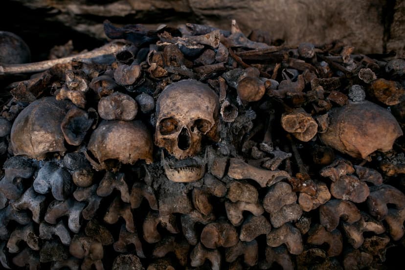 Paris Catacombs Reopen After Spooky Renovation