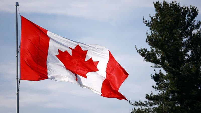 Passenger Commandeers Ontario Bus for Joyride, Evades Police