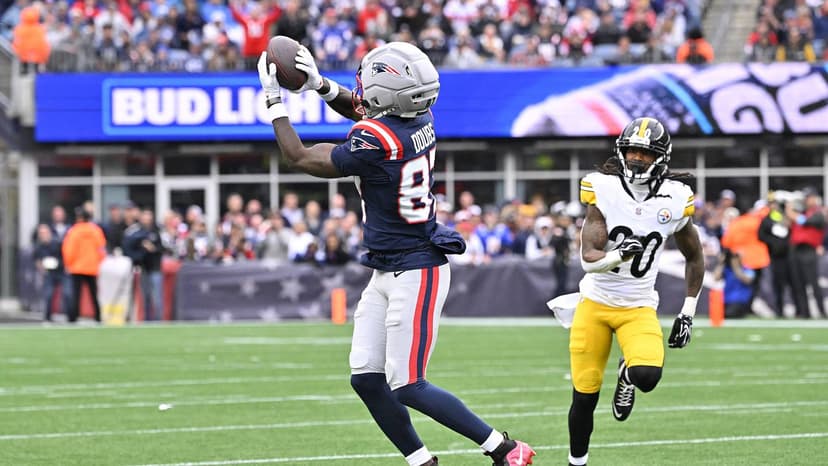 Doubs Injured: Patriots WR Corps Shaken