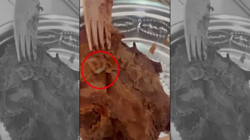 PAUL India's Hygiene Crisis: Worms in Pune Pastry After Gurugram Incident
