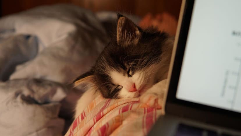 Is Your PC's Hibernate Mode Damaging Your SSD?