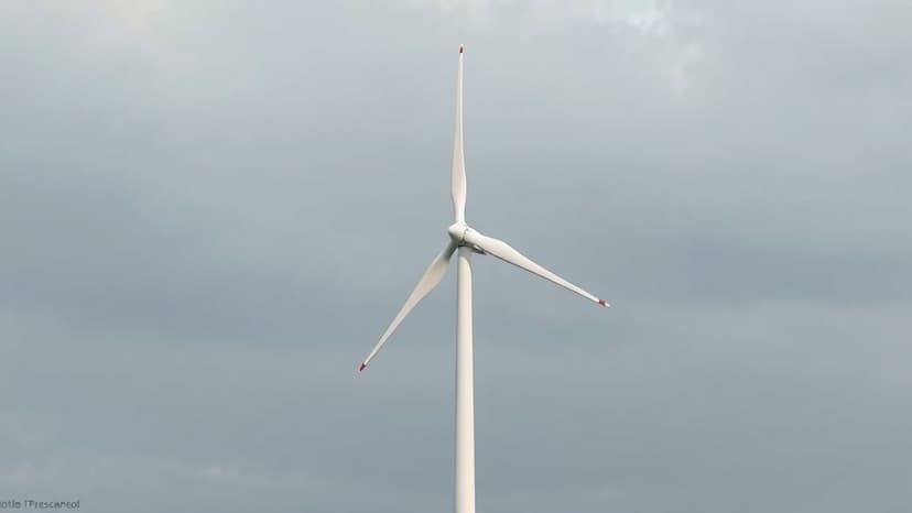 Peatland Haven vs. Wind Farm: Nature's Plea