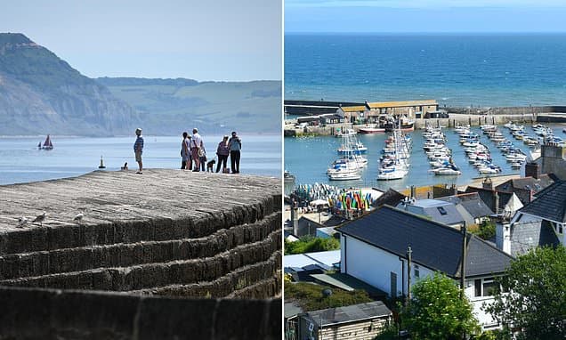 Pensioner Dies After Tragic Fall at Lyme Regis Harbour