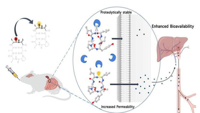 Peptide Power: Tiny Molecules Revolutionize Medicine