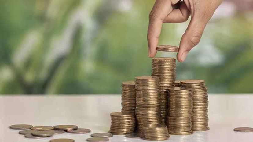 Peshwa Wheat IPO: ₹54 Cr Plan to Boost Processing Power