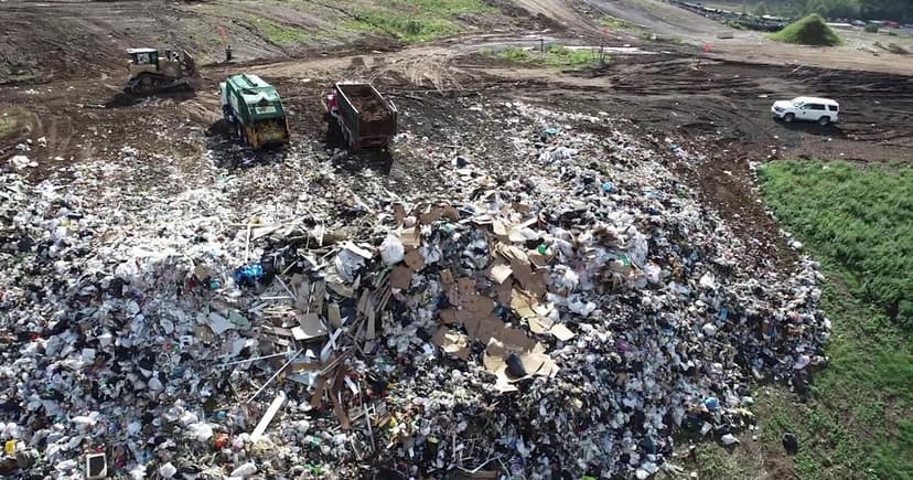 Pest Control Firms Pay Millions for Illegal Dumps