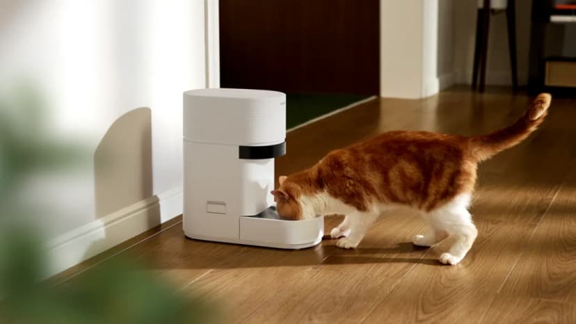 Smart Pet Feeder Fails, Leaving Pets Hungry