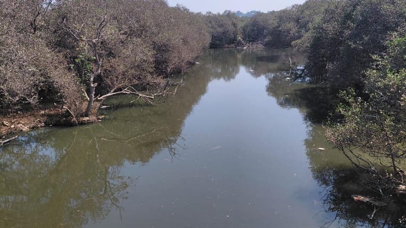 River Chokes on Industrial Waste: Urgent Action Demanded