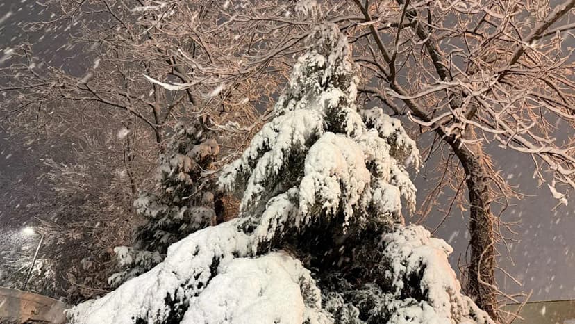 Philly Snowfall Surges: Inches Pile Up Rapidly!