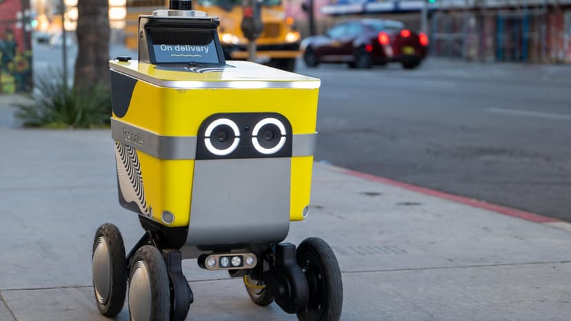 Philly Woman Blocks Robot, Cites Job Stealing