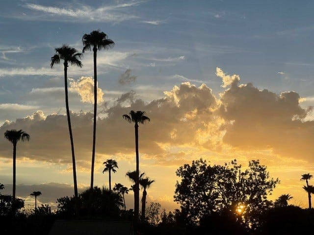 Phoenix Heat Breaks; Monsoon Offers Cooler Temps
