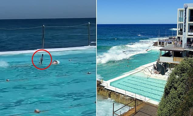 Swimmer Scrolled Phone Mid-Lap at Bondi