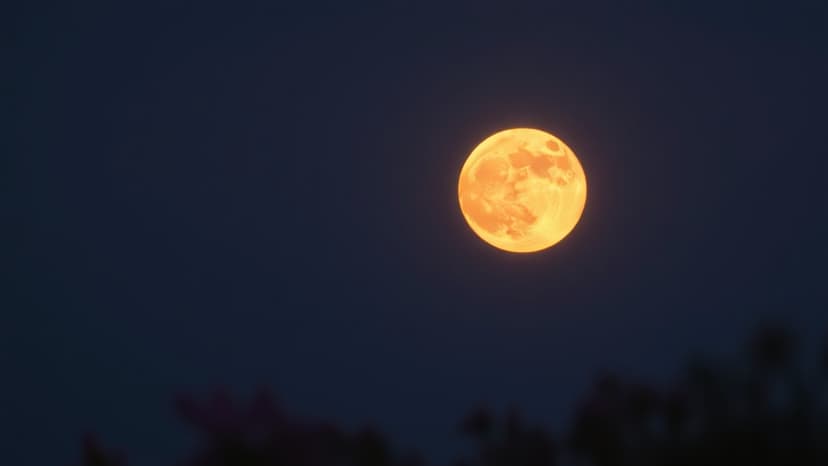 Pink Moon Appears Faintly Orange, Not Pink