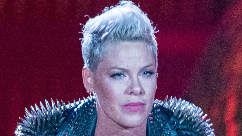 Pink's Neck Surgery: New Year, New Discs!
