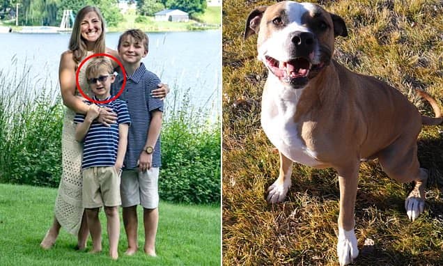 Boy Killed by 'Monster' Dog with Troubled Past