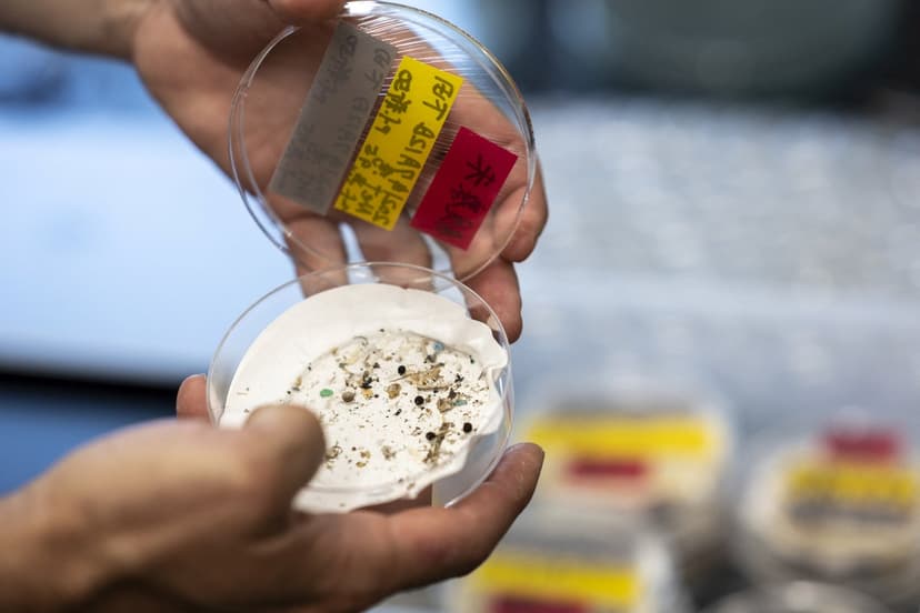 Airborne Plastic Triggers Cloud Formation