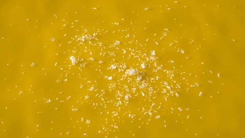 Ocean Plastic Becomes Floating Habitats for Life