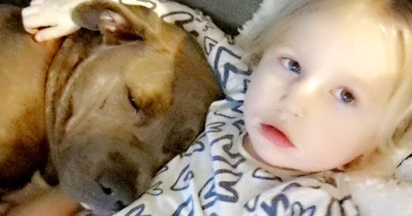 Dog Ashes Sent in Tonic Box: Mum Outraged