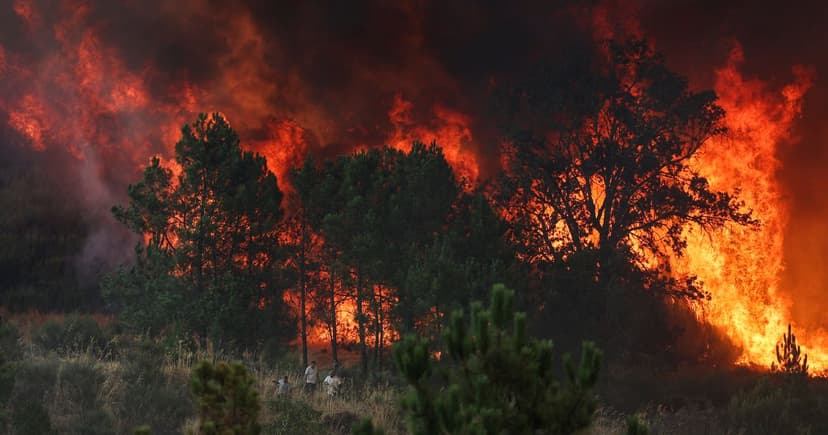Portugal Wildfires Threaten Summer Holidays