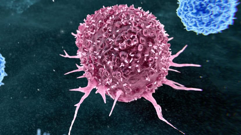 38% of Cancers Preventable: WHO Study Reveals Key Factors