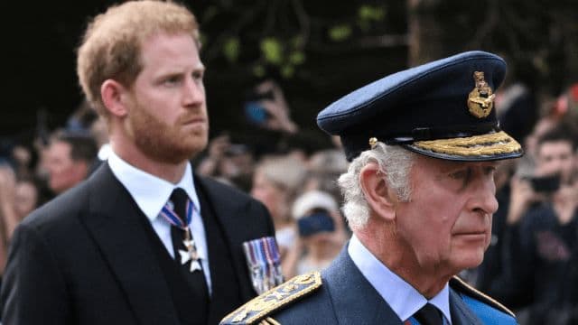 Camilla's Away: Harry's Chance to Reconnect?