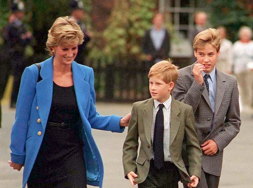 Prince Harry's Deepest Regret: Final Call With Diana