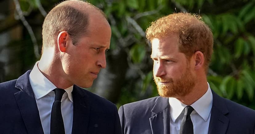 Royal Brothers' Plea: William's Focus, Harry's Hope