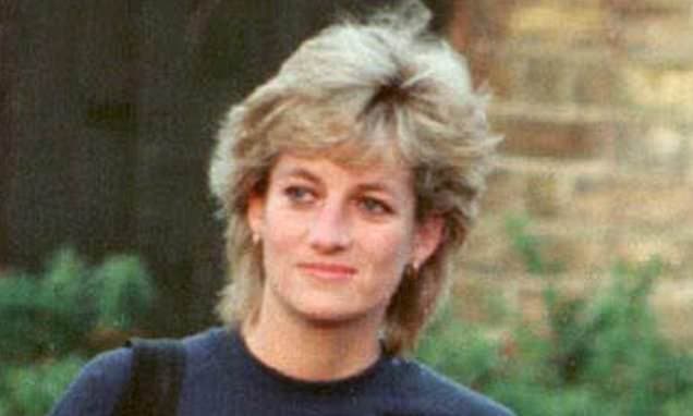 Virgin Atlantic Relaunches Princess Diana's Jumper