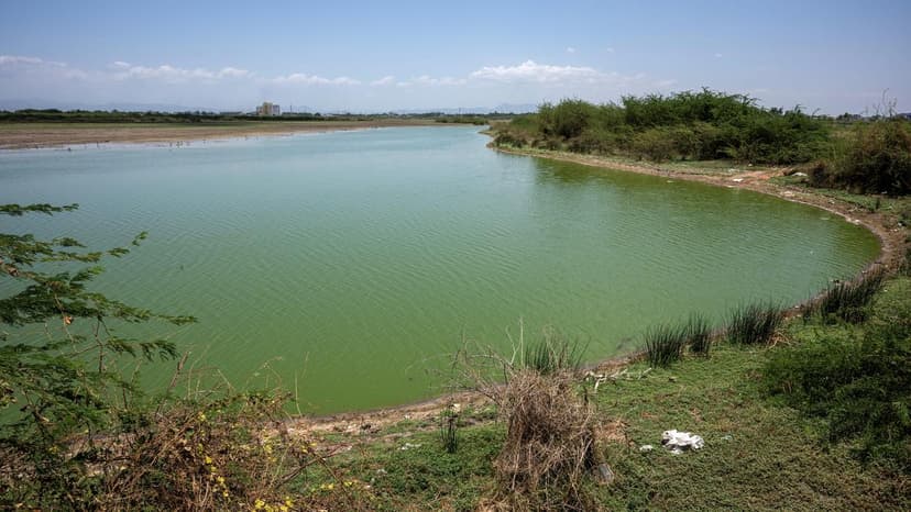 Tamil Nadu's Hidden Gems: Biodiversity Sites Threatened