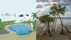 Publix Funds $1M Florida & SC Conservation Drive