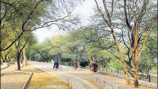 From Dumping Ground to Green Lung: Punawale's New Oxygen Park