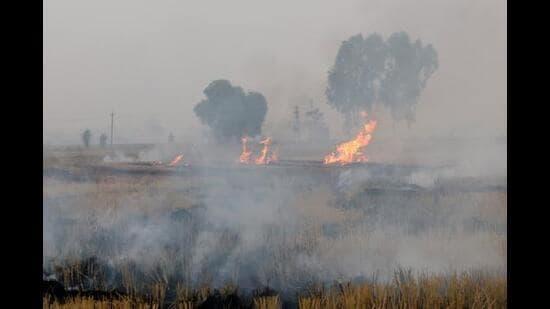 Punjab Unveils Tech Portal for Pollution Grievances