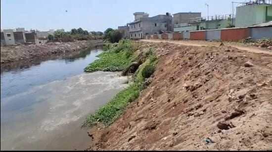 Punjab's Rivers Choked: 800 Pollution Sources Still Active