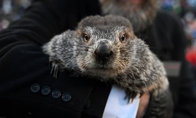 Groundhog Sees Shadow: More Winter Ahead!