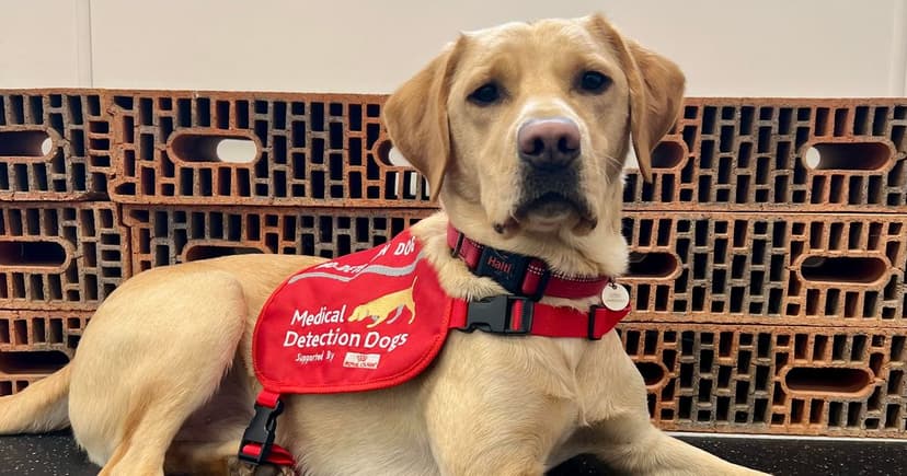 Puppy to Detect Deadly Lung Infection