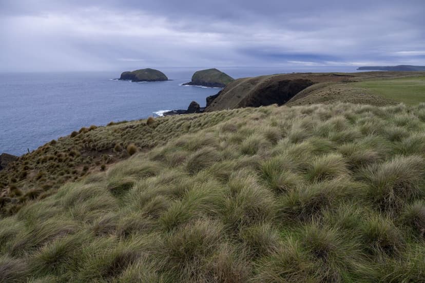 Cleanest Air Found in Southern Ocean Winds