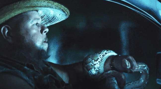 Documentary Reveals Extreme Everglades Python Hunt