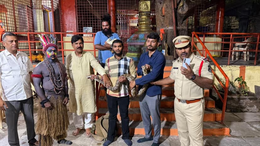 Python Rescued from Cruel Dance Performance in Hyderabad